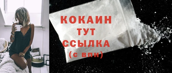 дживик Краснослободск