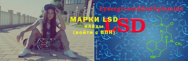 дживик Краснослободск