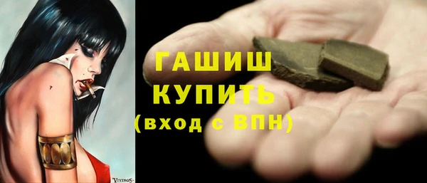дживик Краснослободск