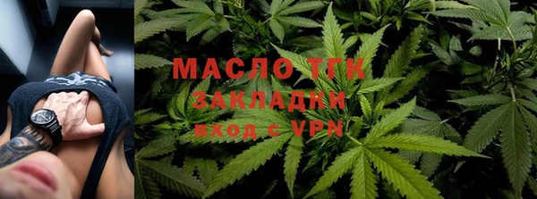 дживик Краснослободск
