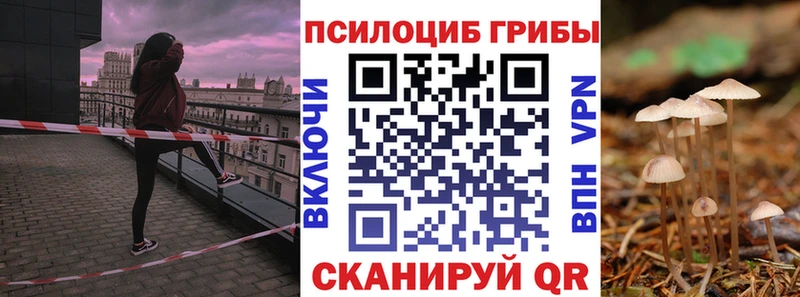 Купить где  Яровое  Галлюциногенные грибы Cubensis 