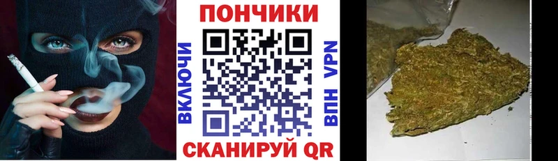 Шишки марихуана сатива  Купить где  Яровое 